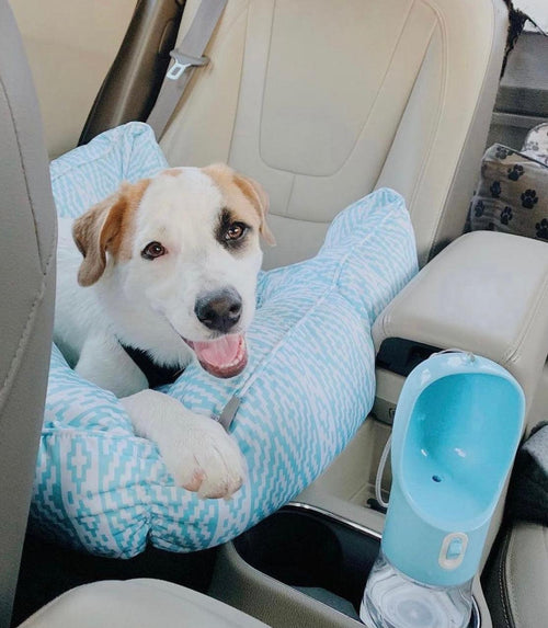 2 IN 1 PORTABLE PET FEEDER - BLUE